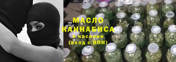 прущие грибы Новозыбков