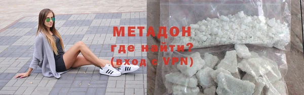 прущие грибы Новозыбков
