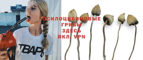2c-b Луховицы