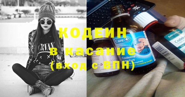 прущие грибы Новозыбков