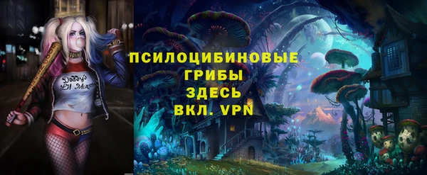 мдма Новодвинск