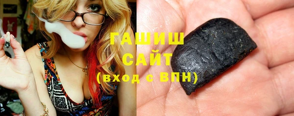 прущие грибы Новозыбков
