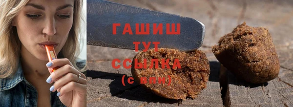 прущие грибы Новозыбков