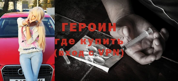 прущие грибы Новозыбков