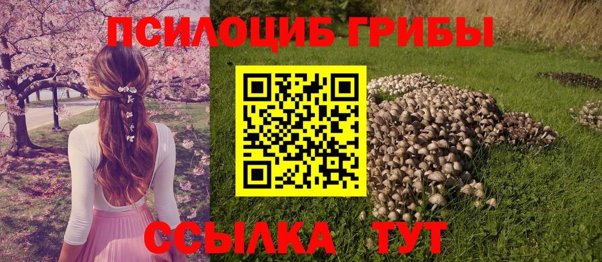 Галлюциногенные грибы Psilocybine cubensis  Псилоцибиновые грибы мухоморы  Вход с VPN  Отрадный 