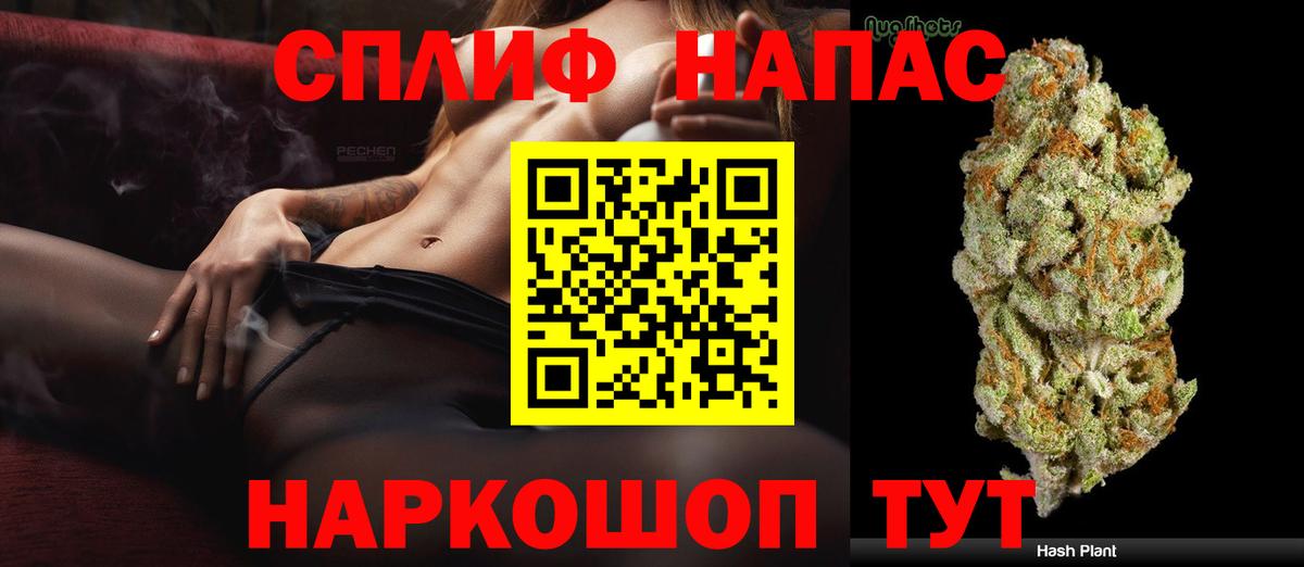 Конопля планчик Отрадный